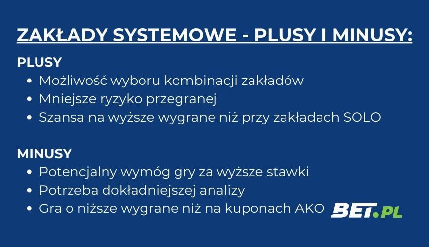 Zakład systemowy - zalety i wady