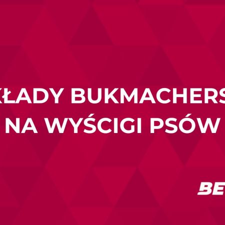 Wyścigi psów u bukmachera. Jak obstawiać wyścigi psów?