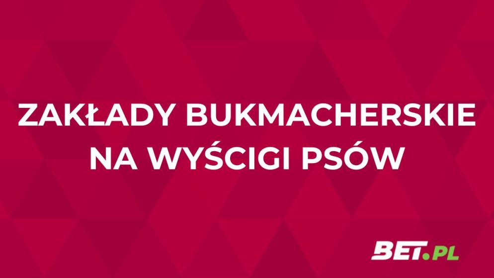 Wyścigi psów u bukmachera. Jak obstawiać wyścigi psów?